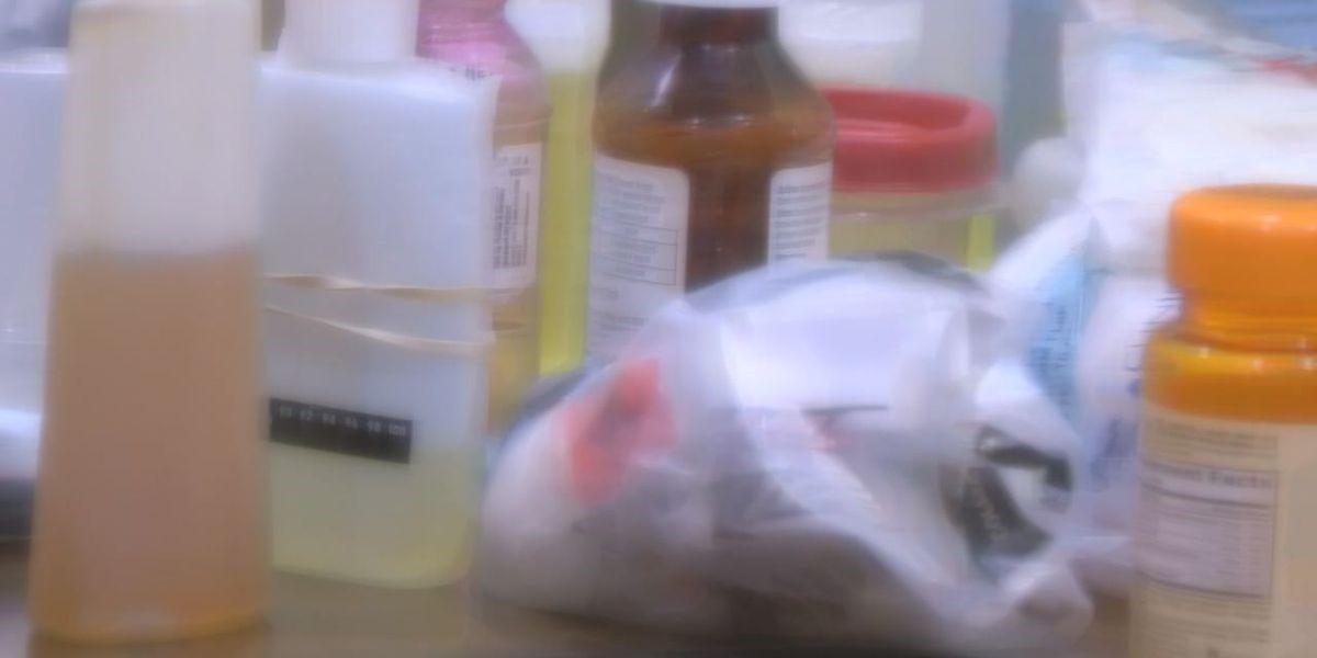 Synthetic Urine Women Kit Spokane WA 99214